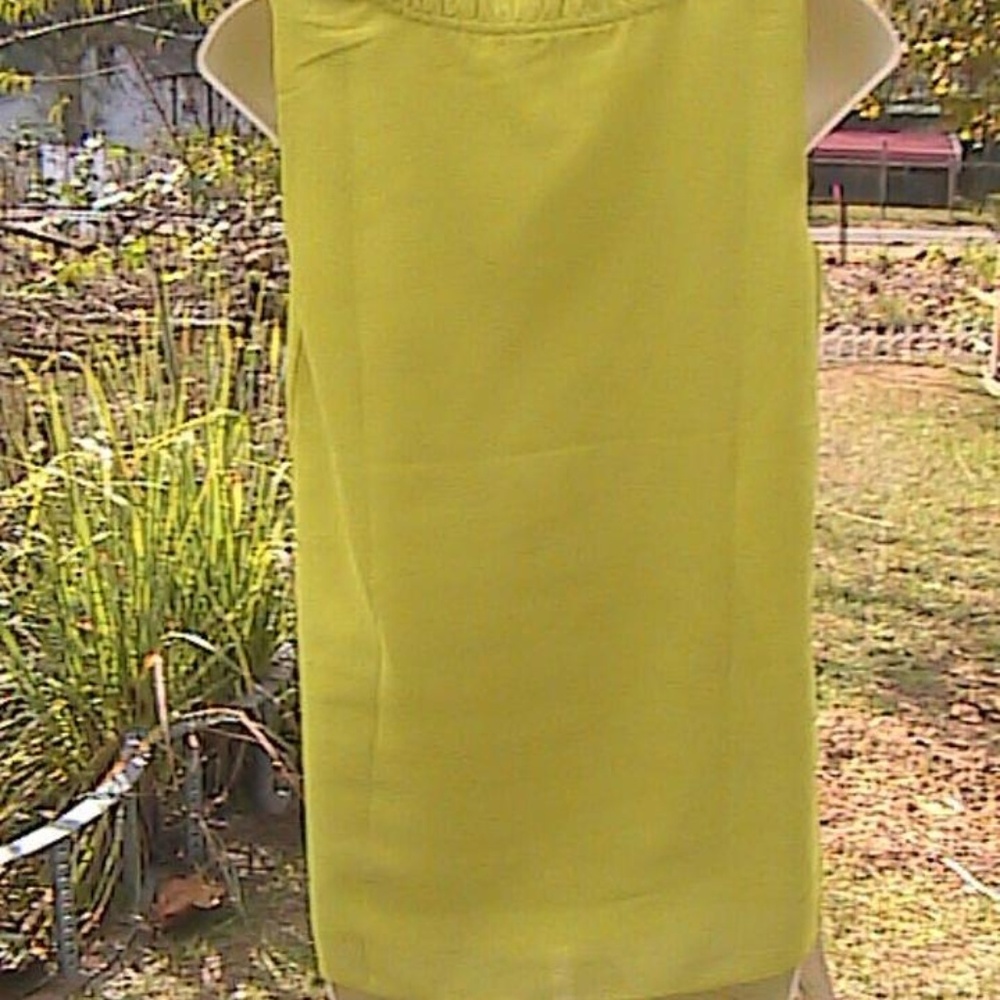 Apple Green Sleeveless Chiffon Blouse Size: 4 (S)